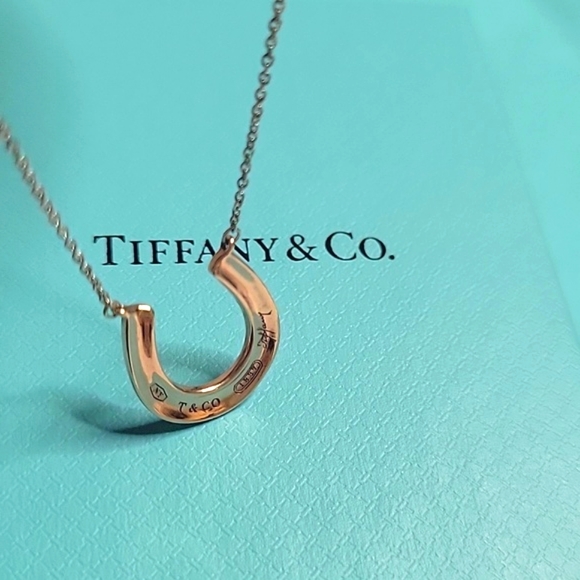 Tiffany & Co 1837 Rubedo Metal &925 Sterling silver Necklace 16" - Picture 13 of 17